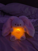 Charger l&#39;image dans la galerie, LE LAPIN CAROTTE RELAXANT™
